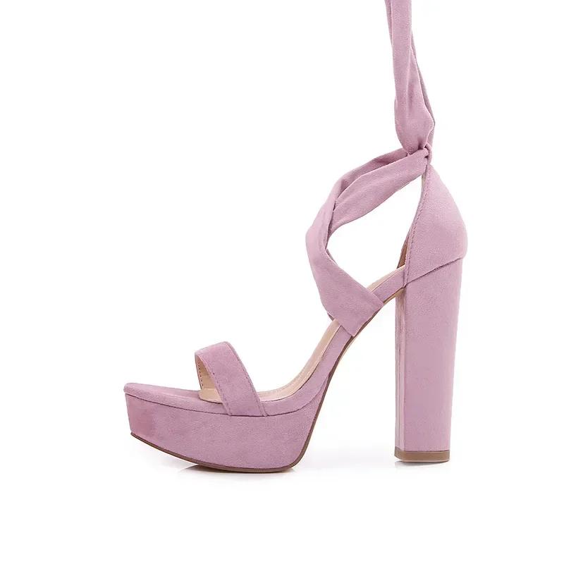 Gladiator Sandals Women Lace Up Chunky Heel Open Toe Strappy Block Heeled Sandals Night Club Party Shoes Tie Up Platform Sandals