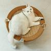 Summer Cooling Cat Bed Cool Mat Sofa Cat Scratch Wear-Resistant Cat Nest Rattan Lounge Chair Cat House Pet Sleeping Bed