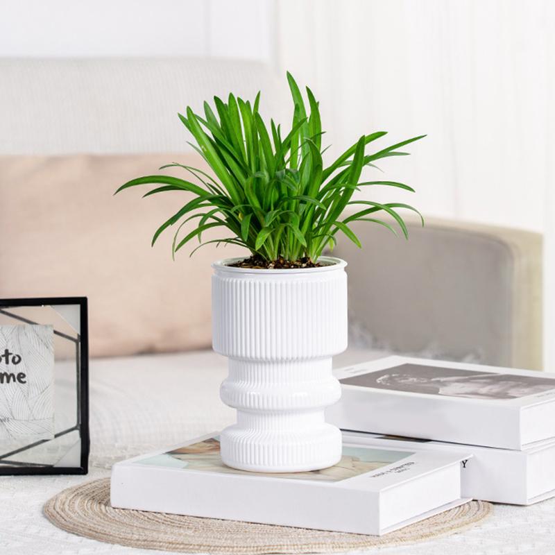 1PC Double-layer Solid Color Soil Cultivation Flowerpot Decorative Potted Pot Desktop Ornaments 3 Colors