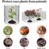 Plant Protector Cage Cage, Wire Mesh Panels with Stakes And Zip Ties, Metal Anti-Digging Poultry Guard for Protecting Vegetables Flowers Saplings from