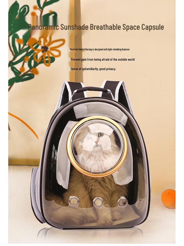 Transparent Cat and Dog Backpack - Large Space Pet Outing Bag