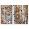Canvas Print, Birch Forest Landscape Nature