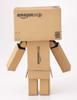Revoltech Danbo krabice Amazon.co.jp ver.
