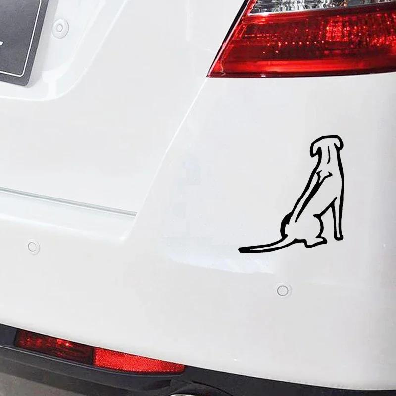 Rhodesian Ridgeback design szyba samochodowa zderzak kask motocyklowy dekoracja domu naklejka winylowa