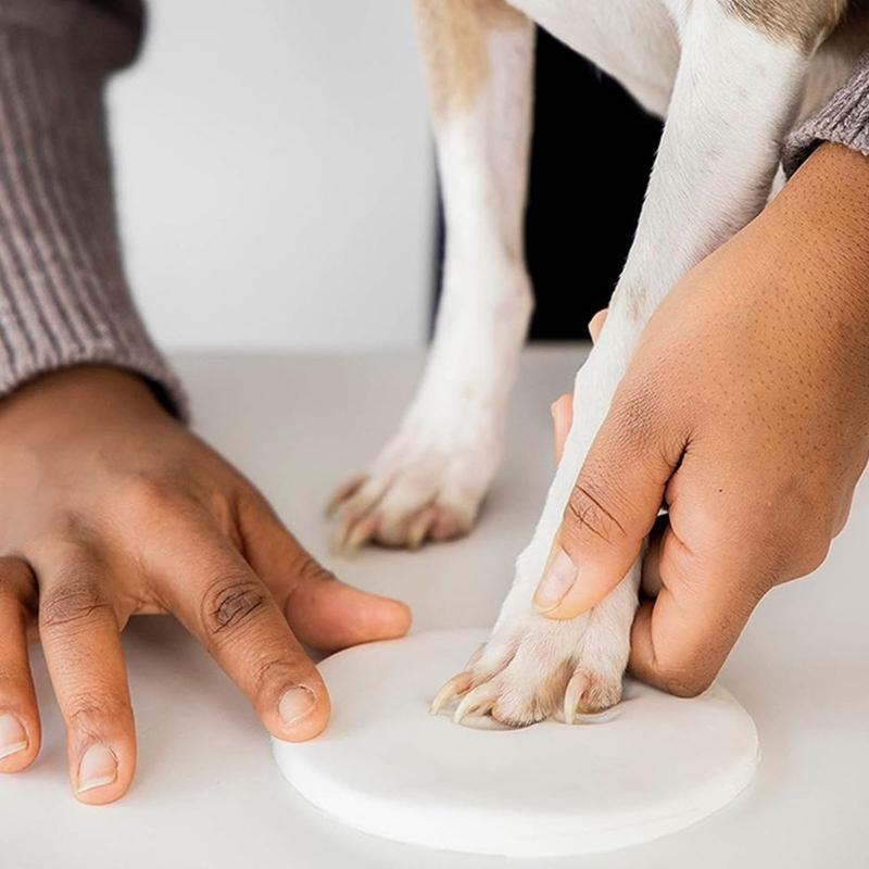 Pet Pawprints Preserve Your Pet Pawprints in a Beautiful Display Stand with This Simple DIY Set