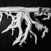 Plastic Tree Root Shaped Wall Rack 3D Printed Wall Mount Display Rack Storage Stand  Gaming Setup