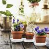 Set of 30 Clear Plastic Plant Saucers for Flower Pots 15 20 25cm Multipurpose Drip Trays for Gardening and Home