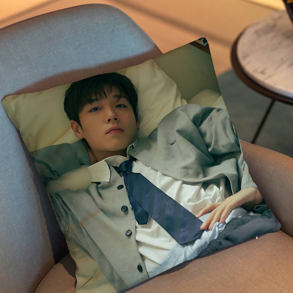 Park Jihoon Weak Hero Class Choi Hyun Wook Pillow Case Sofa Living Room Bedroom Headboard Backrest Cushion Square Cushion Nap