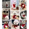 Pet Dog Scarf Christmas Knitted Scarf Creatively Winter Warm Pet Scarf Kitten Dog Scarf New Year Windproof Clothes
