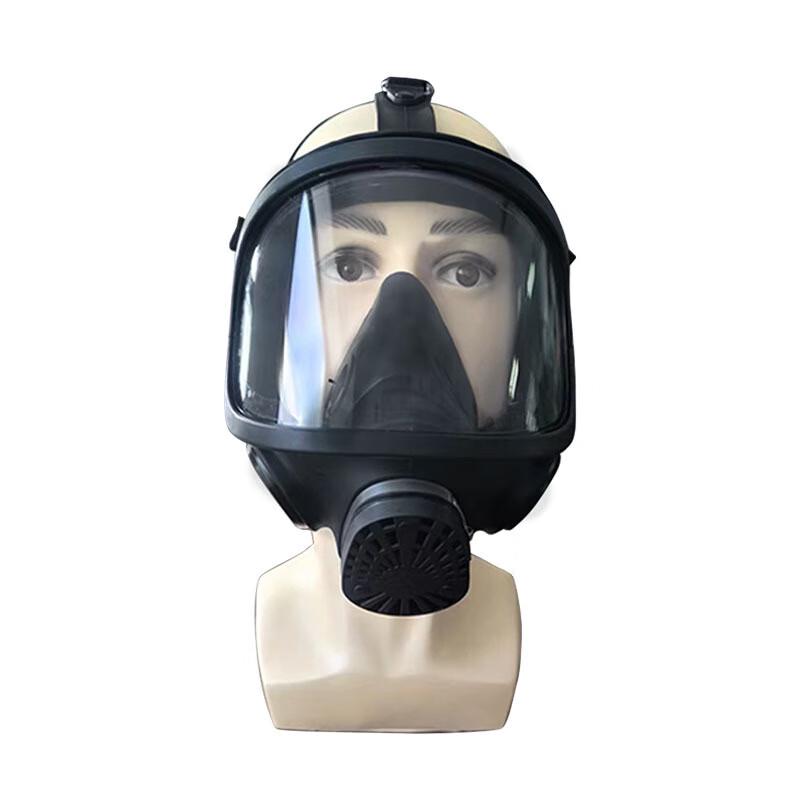 

Hulidun MF15A Full-Face Respirator Mask