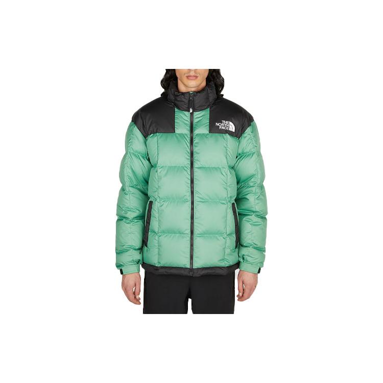 THE NORTH FACE Jackets Unisex Green Stand Collar Moderate Other NF0A3Y23-N11