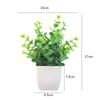 Plastový eukalyptus magnólie v květináči bonsaj pro vnitřní dárkovou dekoraci
