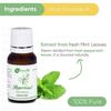 Naturalis Essence of Nature Pepermunt Etherische Olie Onverdund Puur en Natuurlijk Therapeutische kwaliteit voor Stomen, Haar, Huid, Gezicht & Diffuser - 15ml