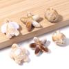50pcs Ocean Series Acrylic Beads Beige Brown Seastar Seaturtle Conch Loose Beads For Jewelry Making Bracelet Necklace Keychain