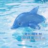Eco-Friendly Inflatable Dolphin Water Toy for Kids Aged 3-6
