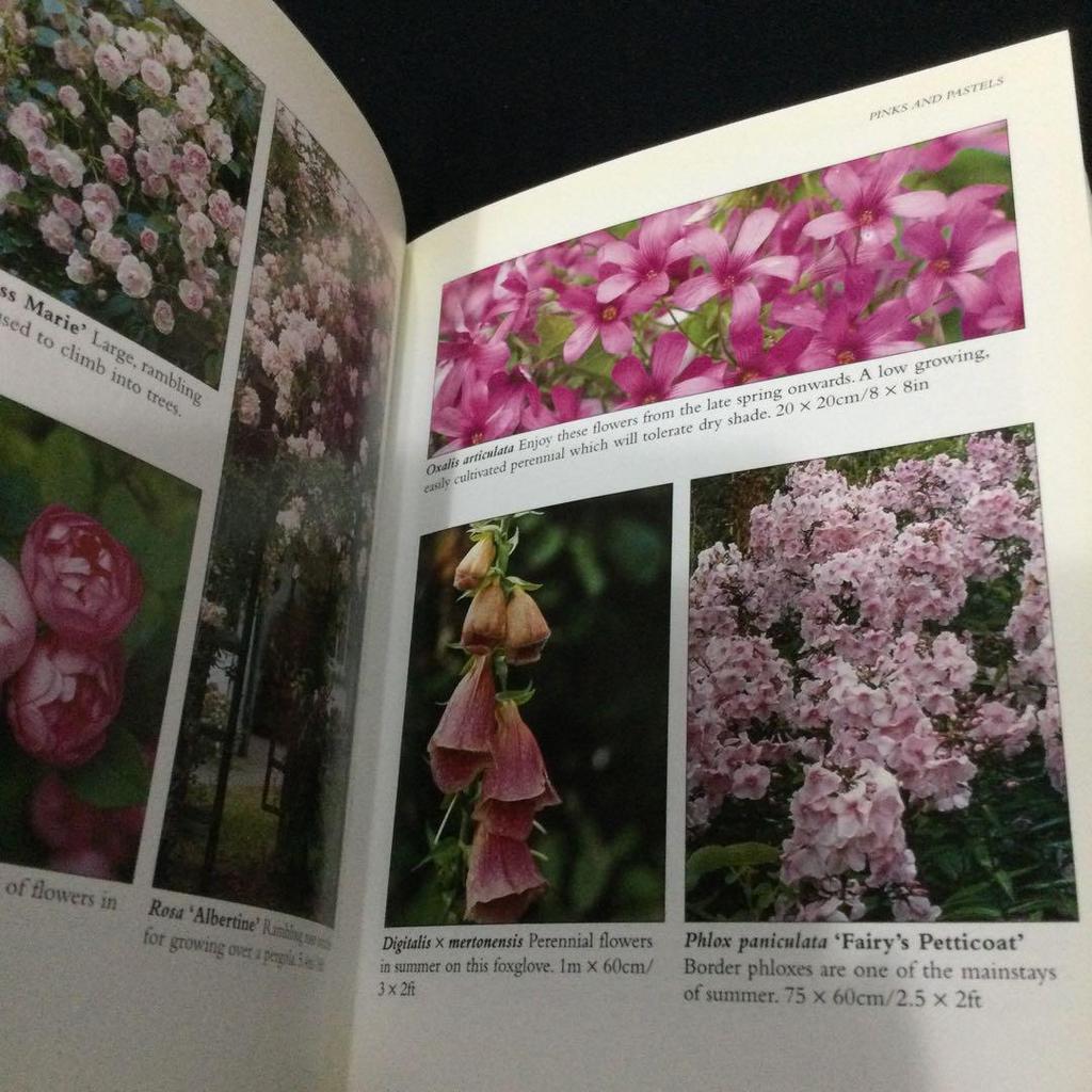[USED] Gardening Plants Flowers Books Gardening Flower Picture Book Garden English