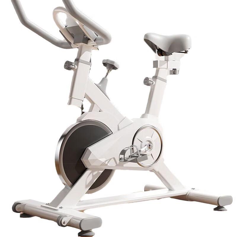 Yi Xing Sports Magnetic Exercise Bike JS2019W