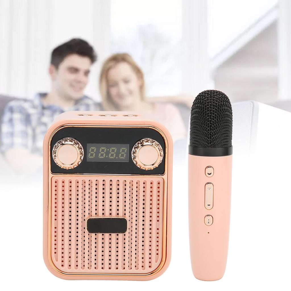 Karaoke Machine HiFi Stereo Sound Portable Speaker with Microphone for Kids Gifts