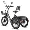 Triciclo Eléctrico de Carga FAFREES F20 Mate II para Personas Mayores, Batería Extraíble de 48V 25Ah, Cestas Delantera y Trasera