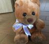 [USED] Sheraton Teddy Bear