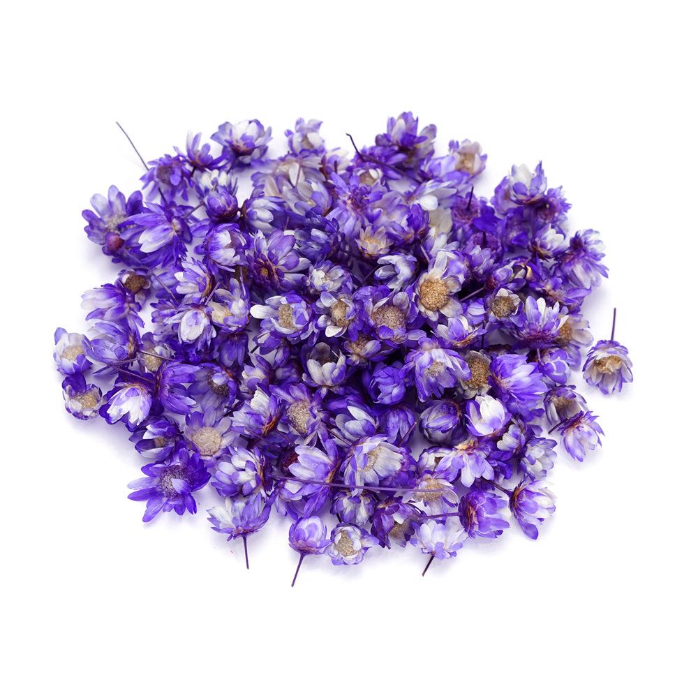 5mm~ 8mm Bags of Dried Flowers, Natural Little Star Flower Head, Handmade DIY Group Fan Crystal Epoxy Decorative Dried Flowers