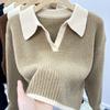 Sweater Knitted Sweater Autumn Winter Korean Edition Lazy Style Soft Glutinous Outer Loose Small Bottom Casual Top
