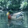 Lifelike Floating Duck Ornament Realistic Statue Waterproof Decor