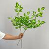6pcs Simulation Plants Silk Eyebrows Leaves Bedroom Decoration Artificial Plant Green Eyebrow Leaf Branch Hotel Decorative