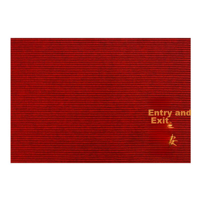 Qiqijia Entrance Door Mat, Non-Slip Doormat at Entryway, PVC Foot Mat, Dirt-Resistant Carpet Doormat, Cuttable Pad