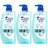 Head & Shoulders Anti-Dandruff Oil Control Volumizing Shampoo