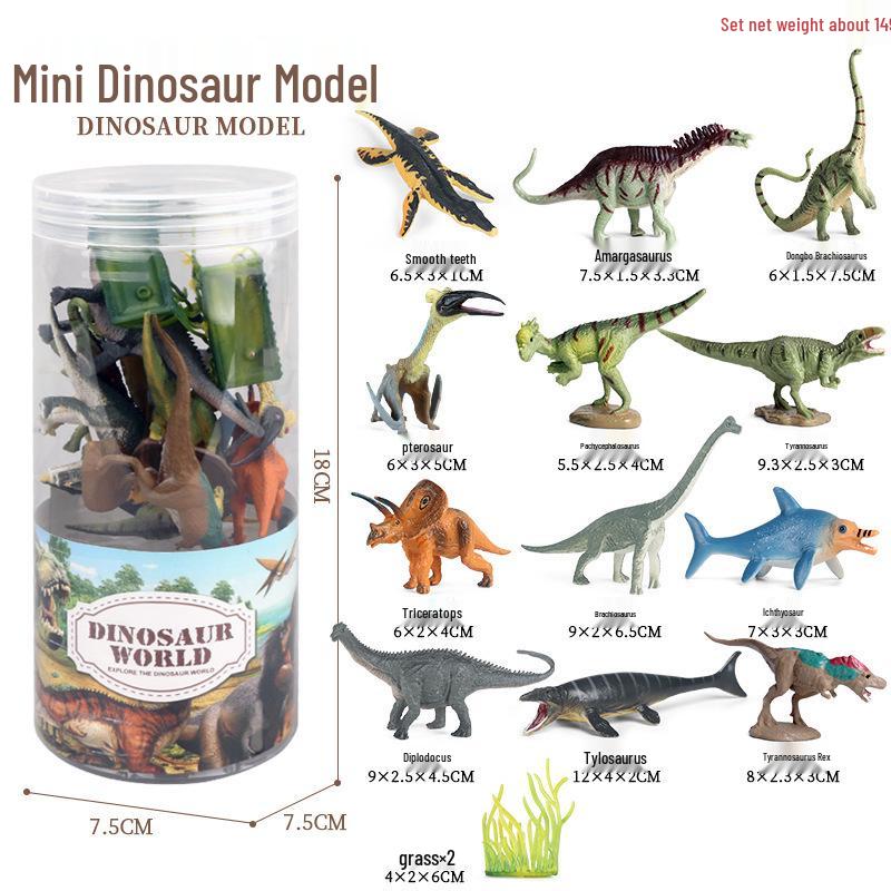 Frog Life Cycle Model Set: Tadpole to Frog Educational Toys for Kids