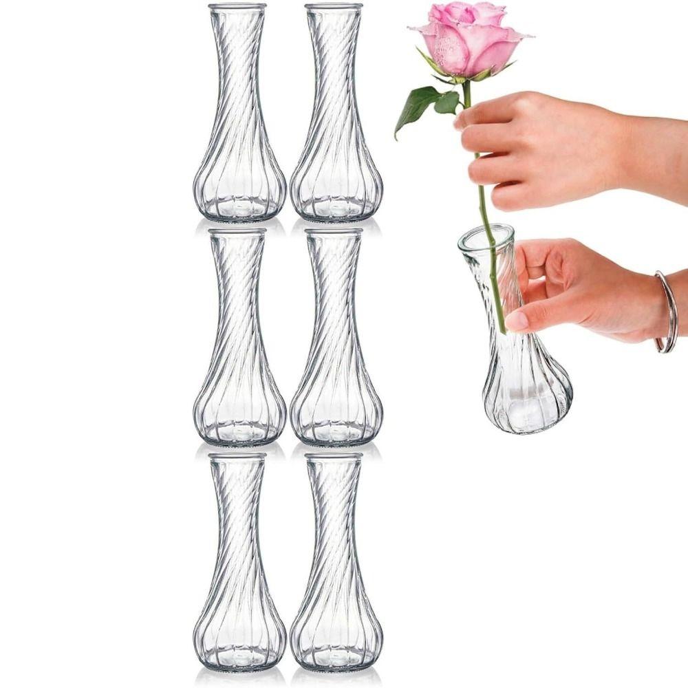 6PCS Vintage Clear Flower Vases Transparent Flower Holder Water Culture Vase  Desktop Adornment