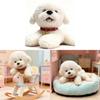 Plush Bichon Dog Toy With Soft Pp Cotton Filling For Kids Gift And Play