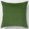 Luxury Home Decor Cushion Cover Office Decor Pillow Cover Tropical Plant Close Up Cactus Pattern Pillow Cover