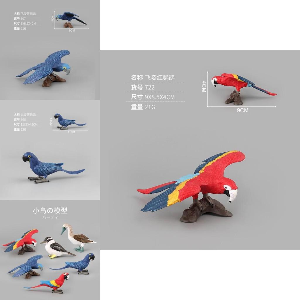 Realistic Pvc Parrot Figurines Set Of Six Colorful Decorative Animal Models