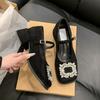 French Thick Heel Mary Jane Shoes Women's Spring New with Skirt Rhinestone Single Shoes Evening Breeze Fairy Style Heels