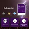 Western Digital WD Purple 6TB Surveillance Hard Drive