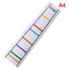 4/4-1/8Fingerboard Sticker Violin Pitch Position No Glue Finger Position Sticker