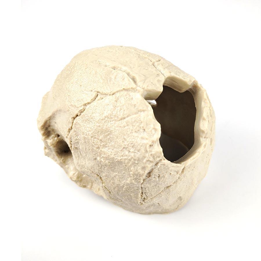 1 Sett Resin Skalle Akvariedekor – Fiske-, Reke- og Reptilavlsgrotte med Innebygd Boblestein for Oksygenering | Halloween Akvariepynt
