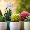 Glass Cactus Self Watering Planter Automatic Plant Water Feeder Glass Bulbs  New Year Gift