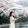 Windproof Clear Rain Umbrella Rainproof Folding Sun Umbrella Transparent Automatic Umbrella  Women