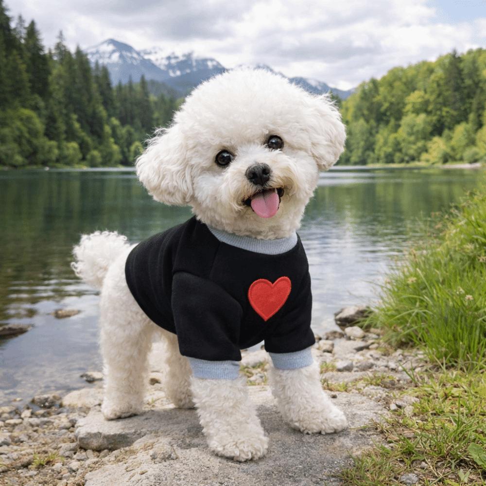 Warmer Katzenpullover Verdickte Hundezweibeinerkleidung Haustierwärmer Oberteile Hundeliebe Hoodie Outdoor-Gehen