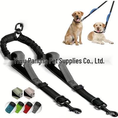 Perros – Collares y correas