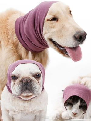 Giyim ve ayakkabı – Köpek Aksesuarları