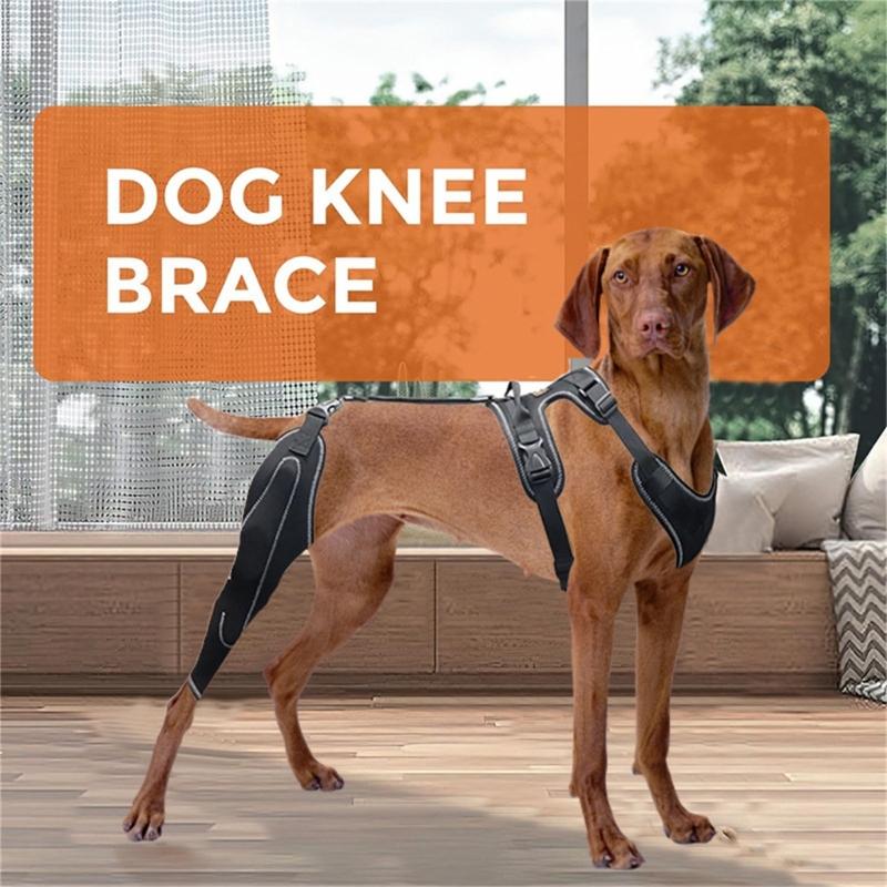 Adjustable Dog Legs Brace Prevents Wounds and Provide Warmth for Recovery Against Licking Assists in Healing Brace