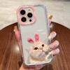 Applicable to iPhone17ProMax cute pet cat mobile phone case 14 Apple 13 transparent 12/15 soft case 16