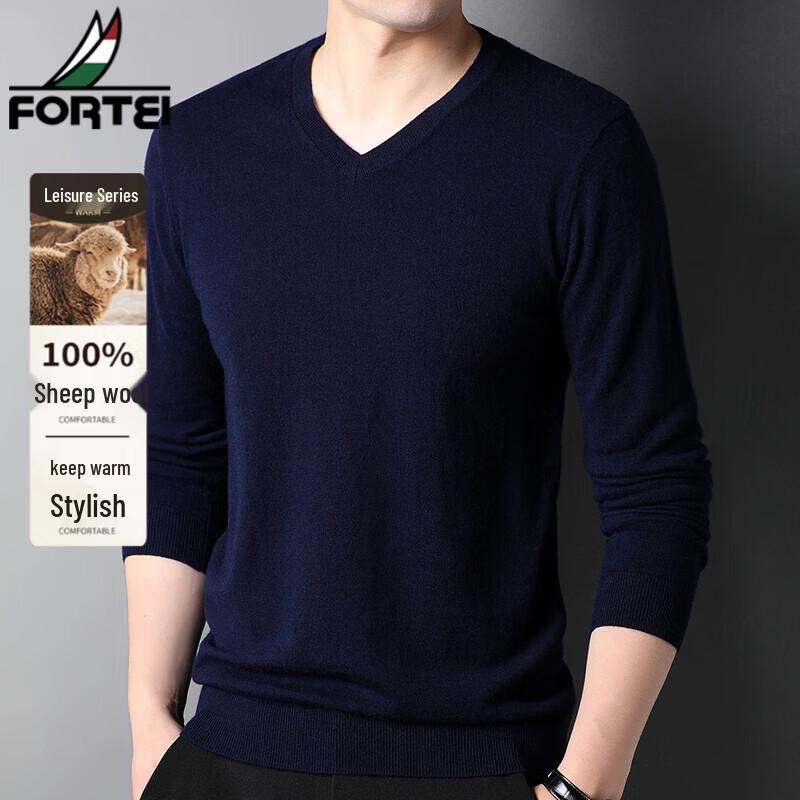 FORTEI Men's 100% Pure Wool V-Neck Pullover Sweater