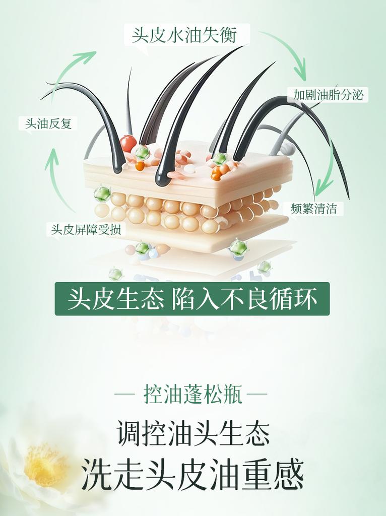 Adolf Tea Bran Shanhaijing Shampoo and Hair Conditioner, Newly Packaged 350ml, Comes with Free Sample