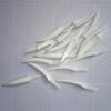 10 Pieces Realistic Pumpkin Teeth for Costume Parties and Jokes Halloween Themed Accessories Creative Party Accessory