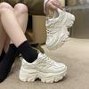 Mesh Explosion Dad Shoes Heightening Shoes 2025 Spring New Small Black Platform Sneakers Women's